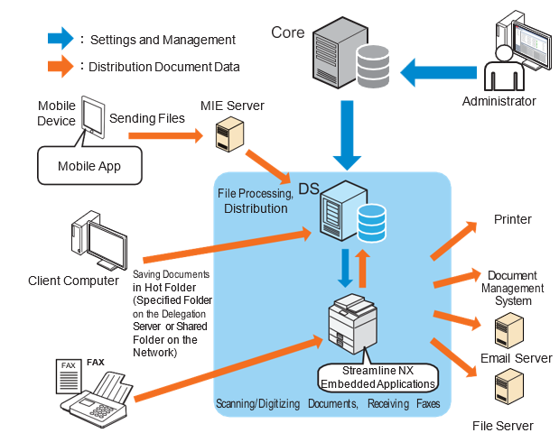 Document Processing Overview